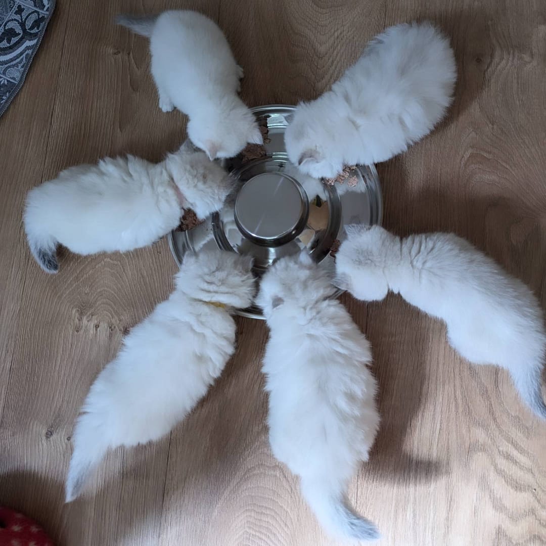 nous à 5 semaines nous à 5 semaines