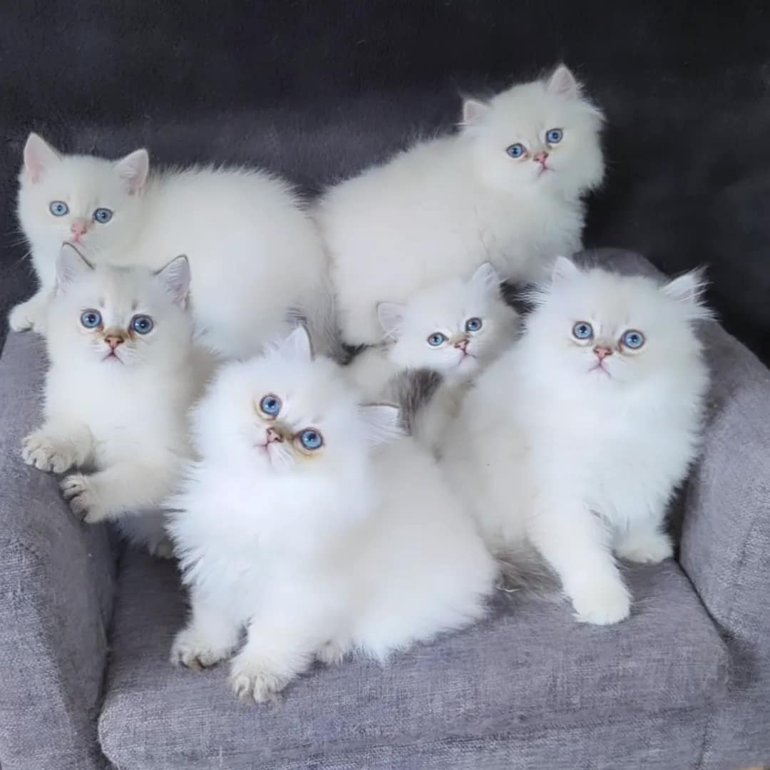 nous à 2 mois nous à 2 mois