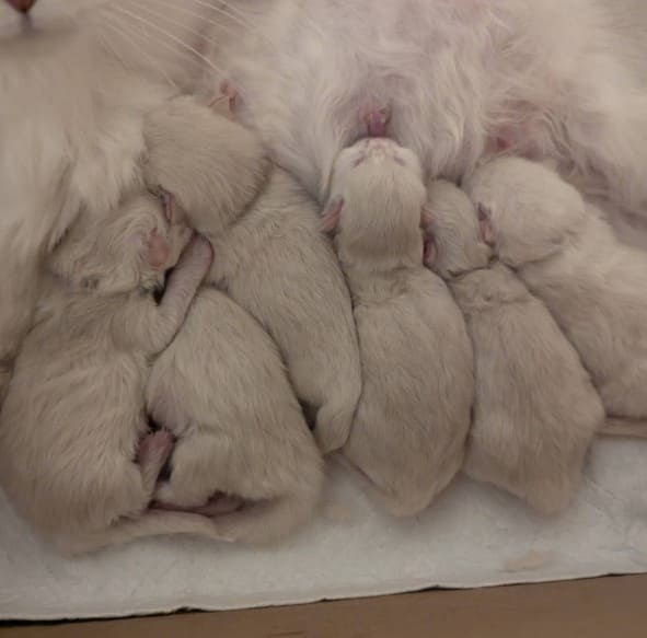 nous à la naissance nous à la naissance